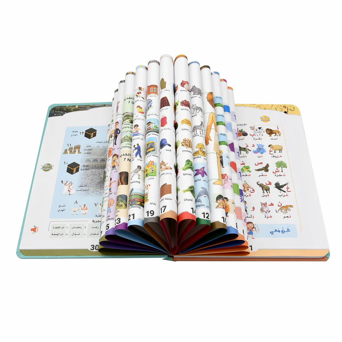 Edukacyjny e-book dla dzieci – język angielski